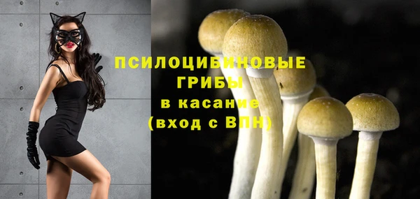 кокаин премиум Ладушкин