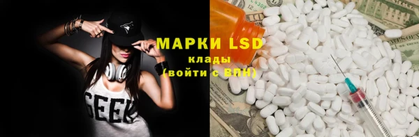 индика Сатка