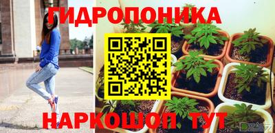 spice Канаш