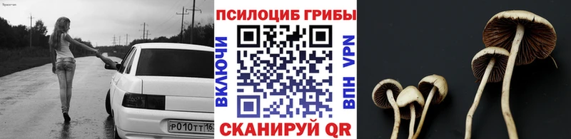 Псилоцибиновые грибы Cubensis  площадка официальный сайт  Лабытнанги 